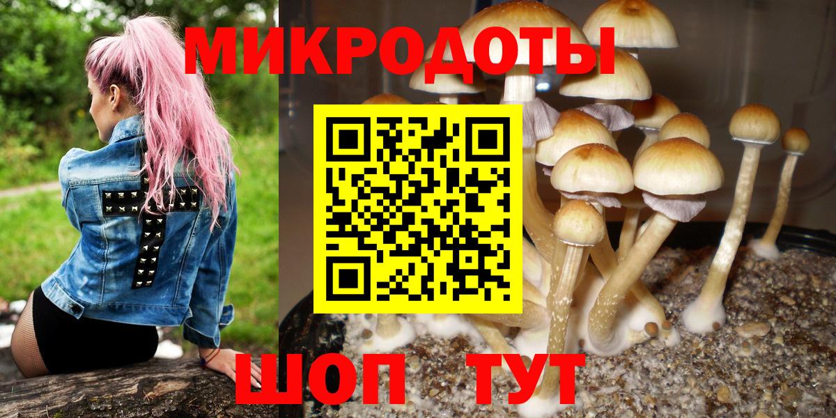 Тамбов  Псилоцибиновые грибы мухоморы  купить  сайты  Вход с VPN 